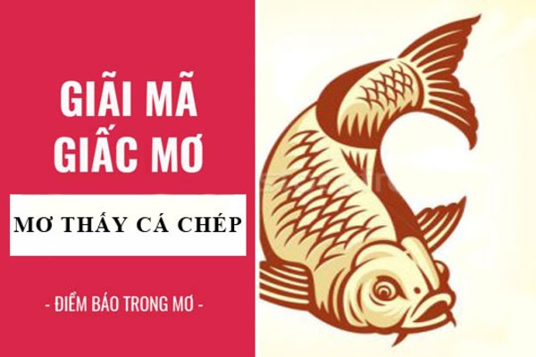 Mơ thấy cá chép
